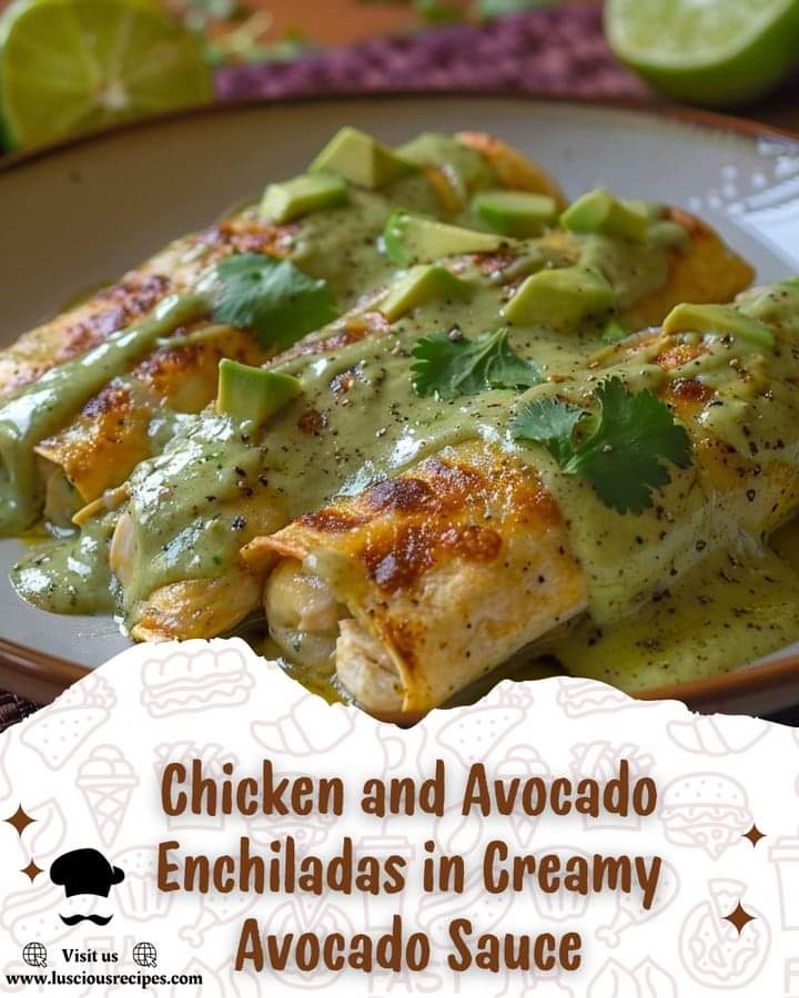 Chicken and Avocado Enchiladas in Creamy Avocado Sauce